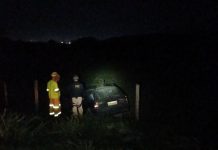 Porto Real: Motorista embriagado cai em ribanceira após acidente na Dutra e acaba preso pela PRF