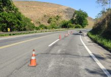 Carro atinge bovinos na BR-393, em Barra do Piraí; PRF alerta para atenção na via