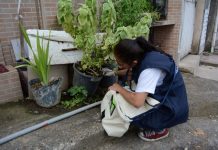 Barra Mansa realiza última medição do LIRAa em 2025 e prepara Dia D contra a dengue