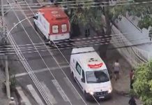 Ataque de abelhas deixa crianças e adultos feridos e gera pânico no Centro de Três Rios