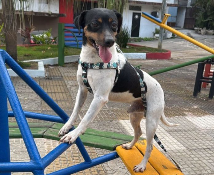 WhatsApp Image 2025-11-05 at 15.44.48