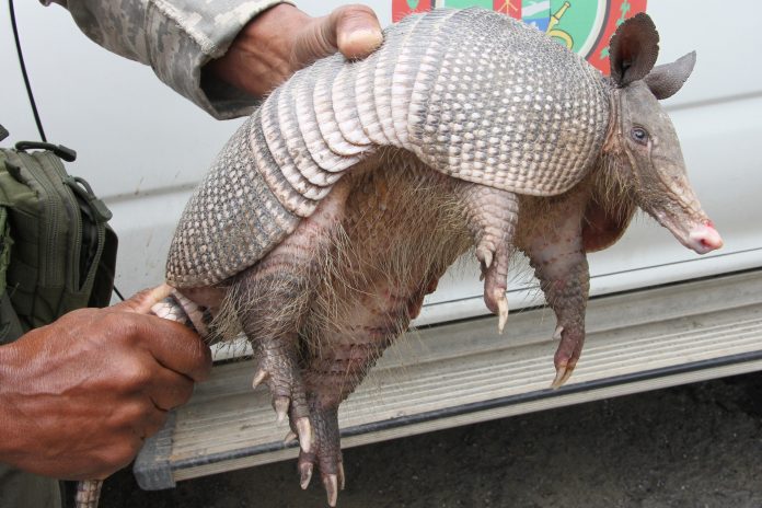 WhatsApp Image 2025-11-06 at 11.19.55