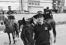 “Sentimento de impotência”: nova morte de cavalo em VR reforça suspeitas envolvendo ração da Nutratta