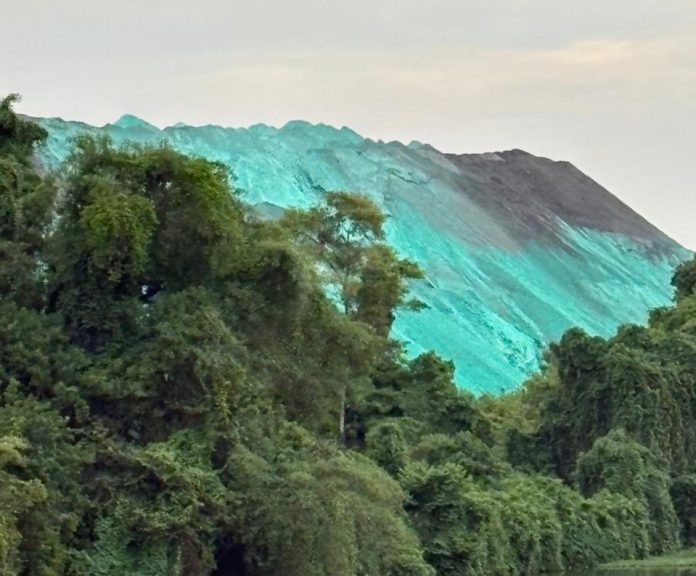 WhatsApp Image 2025-11-16 at 21.12.24