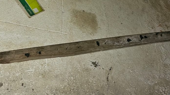 WhatsApp Image 2025-11-19 at 12.36.44