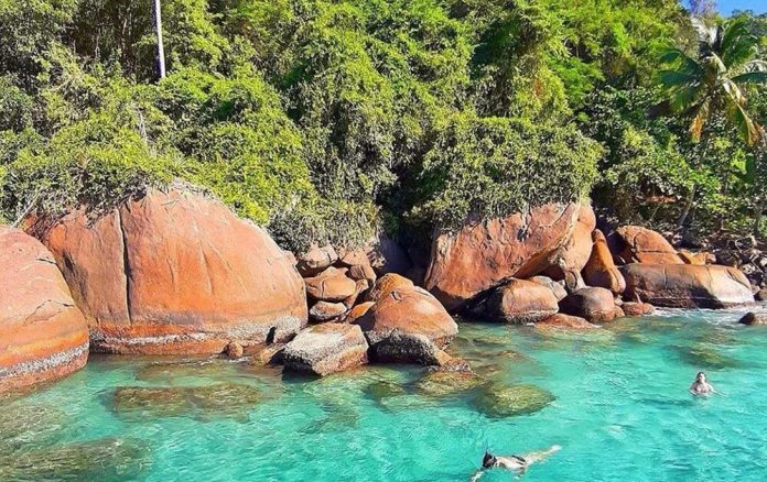 WhatsApp Image 2025-11-19 at 13.32.42 (1)