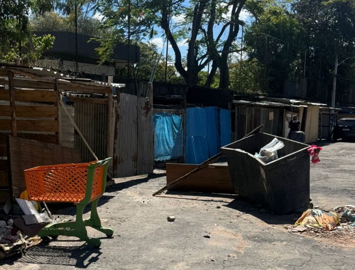 WhatsApp Image 2025-11-26 at 15.44.11