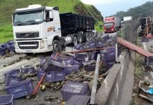 Caminhão tomba e espalha carga de abacaxis na Dutra, em Barra Mansa; trânsito fica lento nos dois sentidos