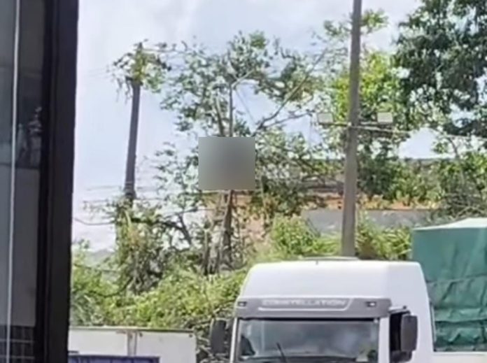 WhatsApp Image 2025-12-03 at 16.51.41