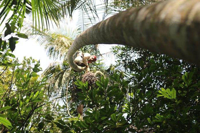 WhatsApp Image 2025-12-08 at 08.51.32