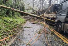 BR-354 é totalmente interditada após queda de árvores na altura de Resende