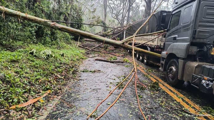 WhatsApp Image 2025-12-10 at 12.40.34