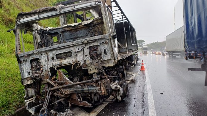 WhatsApp Image 2025-12-13 at 11.22.34