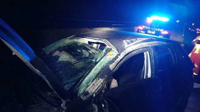 WhatsApp Image 2025-12-14 at 08.38.10