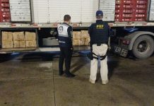 PRF apreende 1,3 tonelada de queijo coalho transportado de forma irregular na Dutra