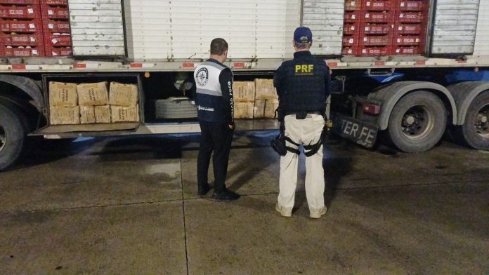 WhatsApp Image 2025-12-17 at 22.22.49