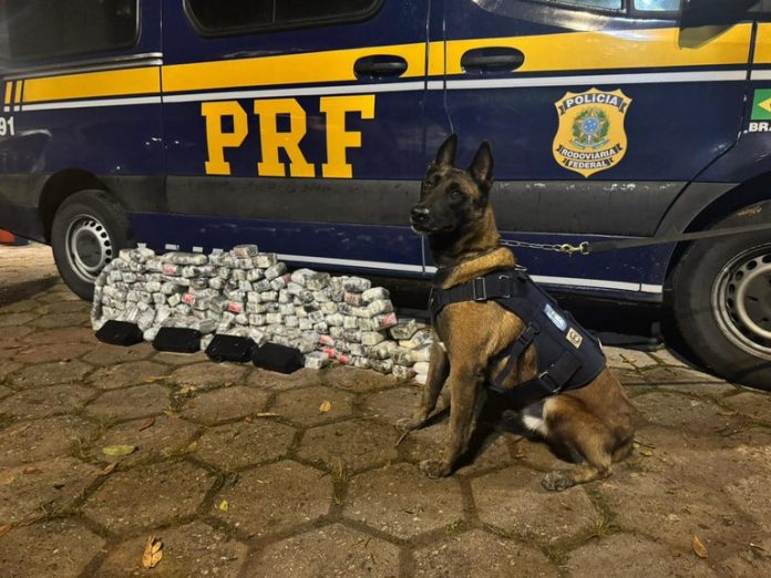 d6e6fcbf-55fe-4dd9-922c-f0d18a667bfb