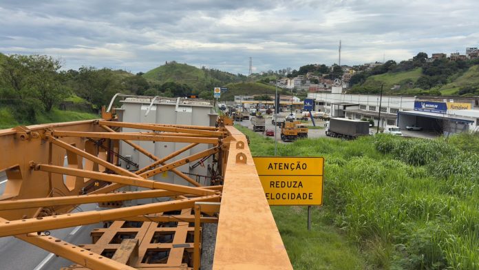 WhatsApp Image 2026-01-07 at 10.48.03