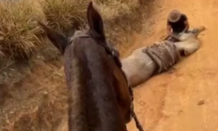 WhatsApp Image 2026-01-11 at 09.37.18