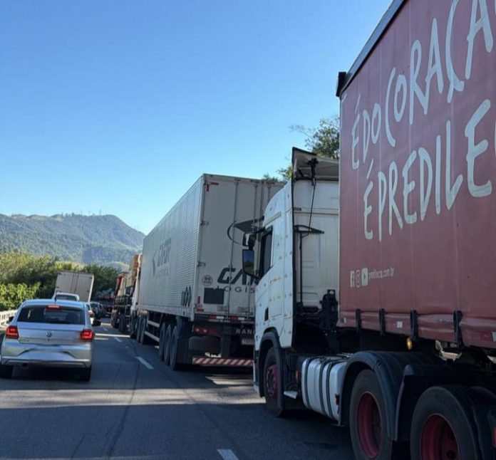 WhatsApp Image 2026-01-12 at 07.49.38