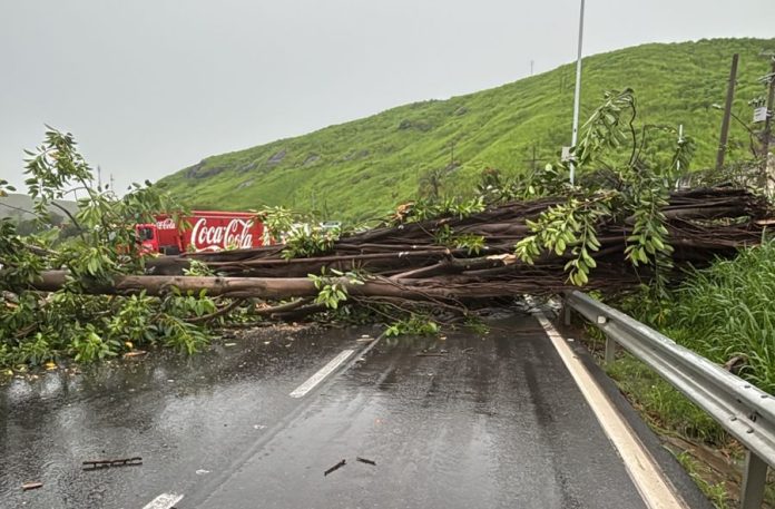 WhatsApp Image 2026-01-15 at 18.22.01