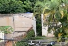 Adolescente é flagrado praticando maus-tratos contra macaco sagui em Volta Redonda