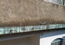 BM: Tutor se muda e abandona cachorro à própria sorte em casa suja e sem comida