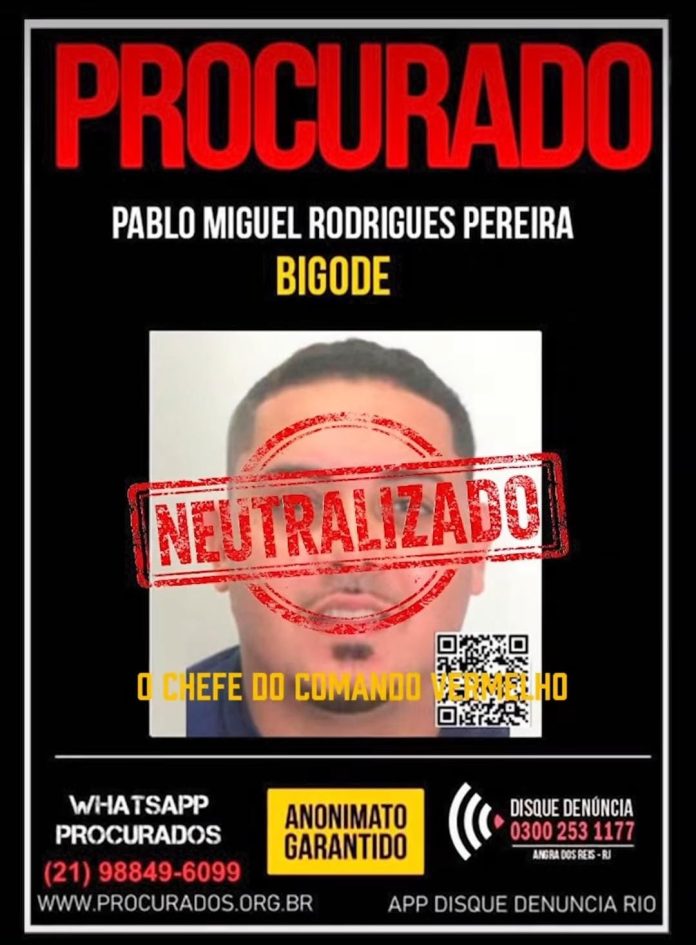 WhatsApp Image 2026-02-04 at 09.51.05