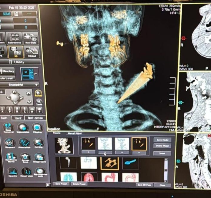 WhatsApp-Image-2026-02-18-at-15.25.56