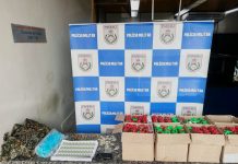 Polícia apreende grande quantidade de entorpecentes no Paraíso, em Barra Mansa