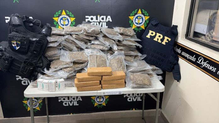 WhatsApp Image 2026-02-24 at 19.00.31