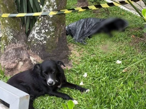 Captura de tela 2026-03-04 163708