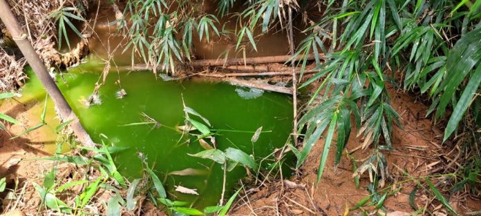 WhatsApp Image 2026-03-03 at 15.42.11