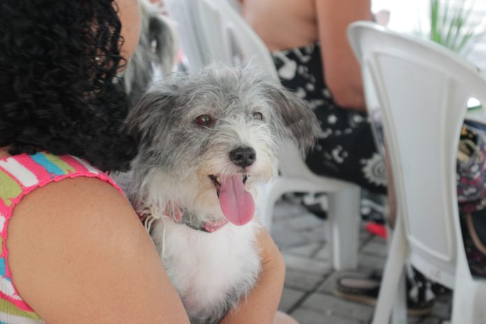 WhatsApp Image 2026-03-16 at 17.29.44