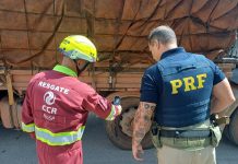 Fiscalização na Dutra identifica risco crítico em caminhão que vinha do Pará com carga de abacaxis