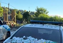 Polícia Civil apreende grande quantidade de drogas na Vila Brígida, em Barra Mansa