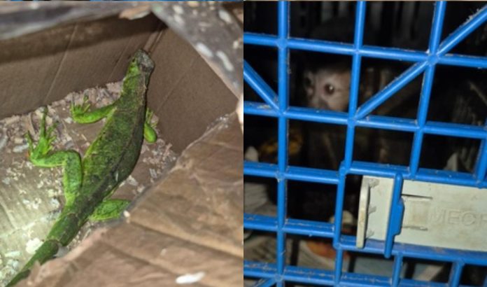 WhatsApp Image 2026-03-29 at 20.01.27