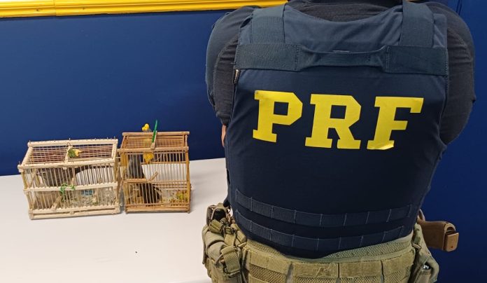 WhatsApp Image 2026-04-13 at 08.49.57