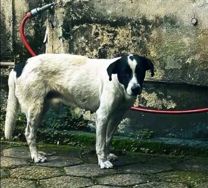 WhatsApp Image 2026-04-16 at 14.14.53