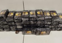 PF e PRF prendem motorista com 50kg de cocaína na cabine de caminhão, na Dutra