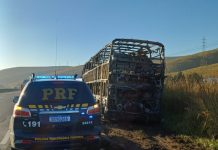 Ônibus é destruído por incêndio na Dutra em Itatiaia