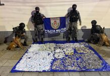 Cão farejador ajuda a apreender quase 18 kg de drogas no Morro da Conquista